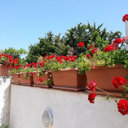 Villino Messina Leilighet San Vito Lo Capo Eksteriør bilde