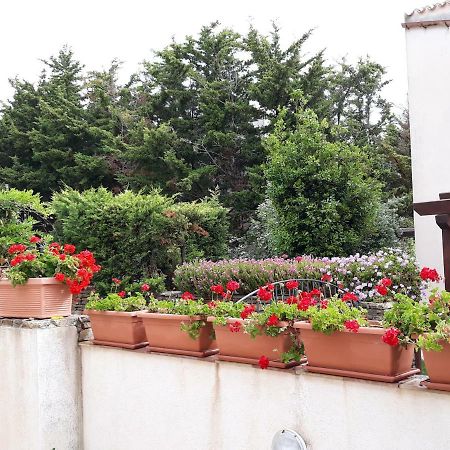 Villino Messina Leilighet San Vito Lo Capo Eksteriør bilde